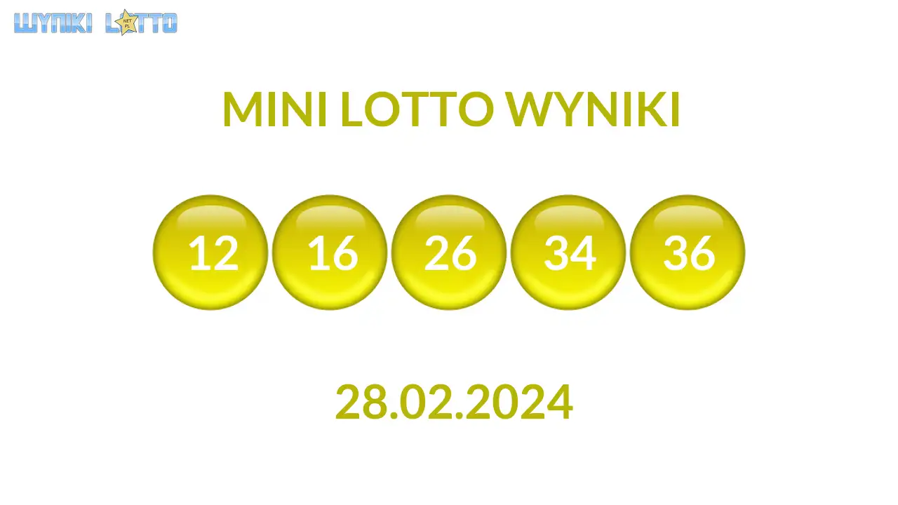 Kulki Mini Lotto z wylosowanymi liczbami dnia 28.02.2024
