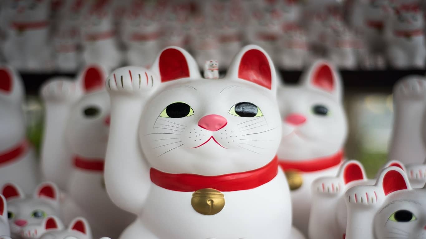 japońskie figurki białego kota symbolizującego duże szczęście
